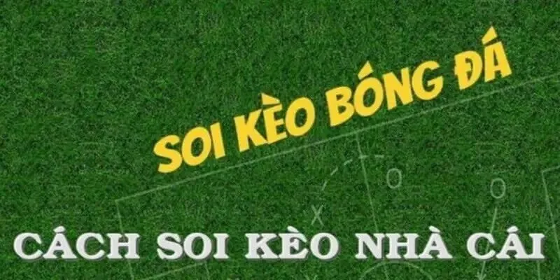 Hướng dẫn soi kèo nhà cái theo từng trường hợp