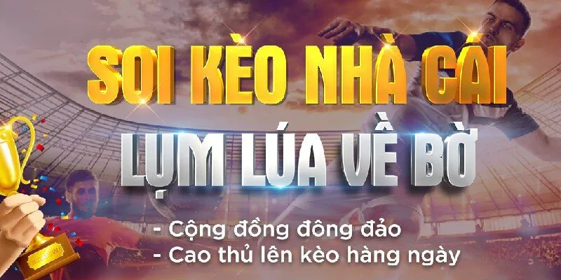 Soi kèo nhà cái